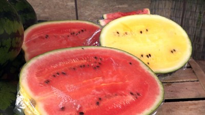 Dübörög a dinnyeszezon